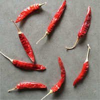 Guntur 334 Chilli