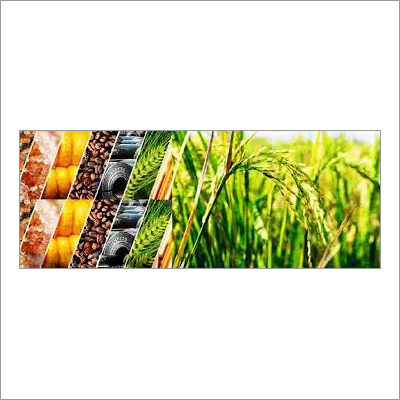 Agricultural Commodities Products