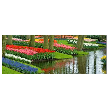 Horticulture Products