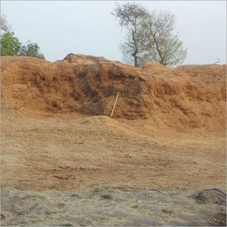 Rice Straw