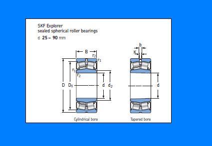 SKF Bearing