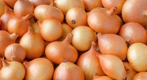 Fresh Onion