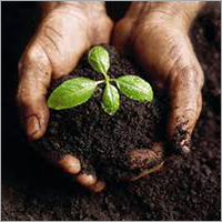 Vermicompost Fertilizer