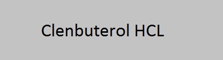 Clenbuterol HCL