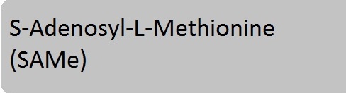 S-Adenosyl-L-Methionine (SAMe)