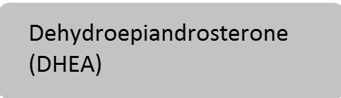 Dehydroepiandrosterone (DHEA)