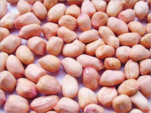 Raw Peanuts