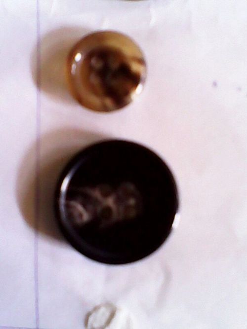 Black And Brown Horn Button