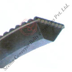 V Belt