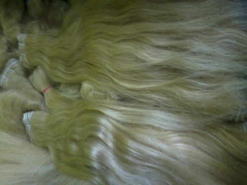 Human Hair