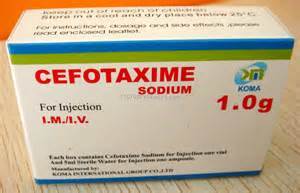 Cefotaxime sodium