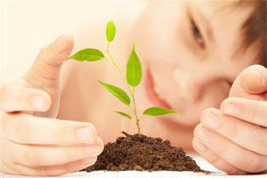 Consultancy Agro Products Development