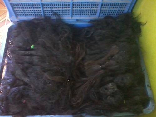 Raw Indian Hair