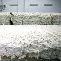 White Raw Cottons