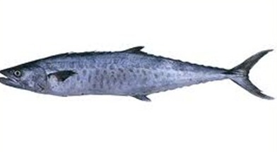 Seer fish