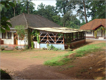 Panchakarma Treatment Services