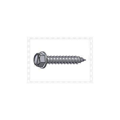 Hex Washer Head Screw