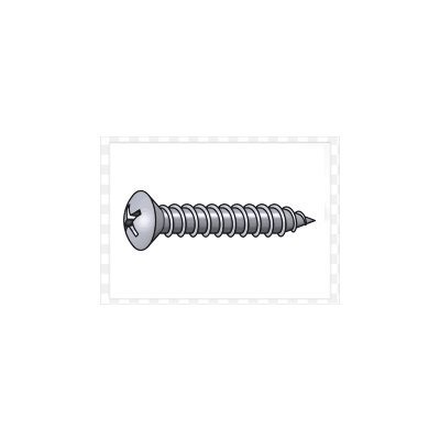 Slotted Oval Head Screw
