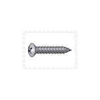 Slotted Oval Head Screw
