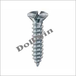 Slotted Head Screw