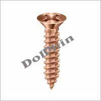 Brass Washer Head Screws