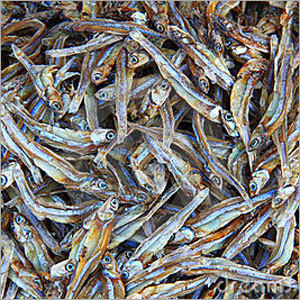 Dry Fish
