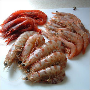 Prawns