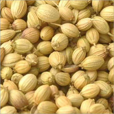Coriander Seeds