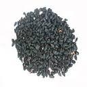 Nigella Exporters
