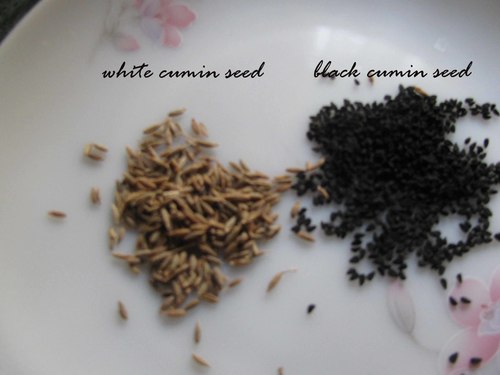 Mustard Seed - Brown Small Round Seeds, Pungent Rough Texture | Anti-Inflammatory, Antioxidant, Cardiovascular Support, Cancer Prevention, Digestive and Respiratory Health