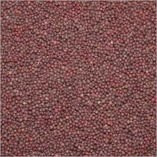 Mustard Seed