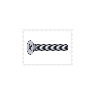 Philips Head Screw