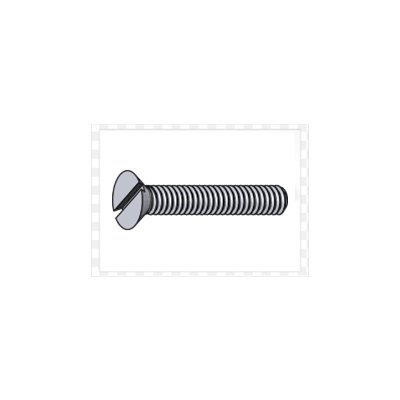 Slotted Flat Head Screw