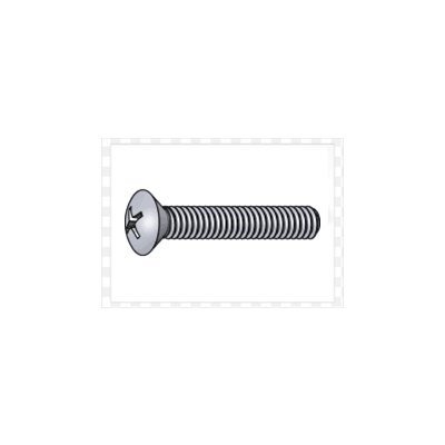 Phillips Oval Head Screw
