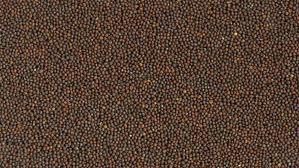Whole Spices