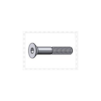 Socket Flat Head Screw