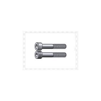Customized Socket Cap Screws