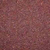 Mustard Seeds - 1mm Black