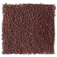 Mustard Seeds Best Price