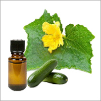 Cucumber Oil