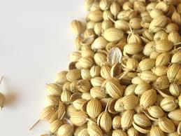 coriander seeds exporter