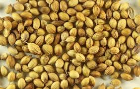 Coriander Seeds Sellers - Brown Color, 7% Ash, 98% Purity, 8% Moisture, 5% Split Seeds, Distinctive Flavor, Warm Spicy Taste