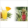 Pineapple Juice Concentrate