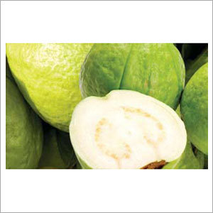 White Guava Concentrate
