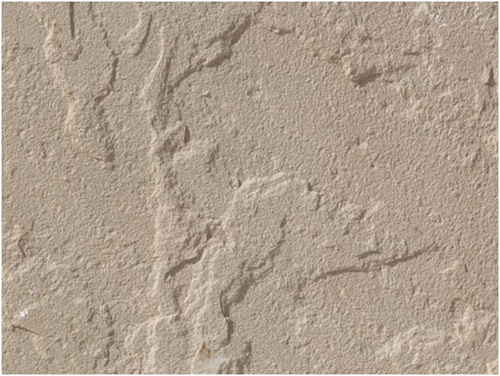 Beige sandstone