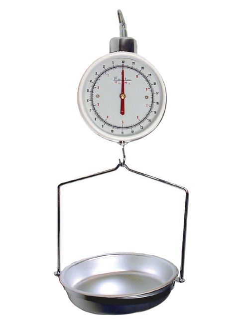 Hanging Scales