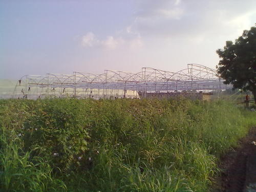Green House - Variable Dimensions Steel, Variable Coverage | Durable Structure, Easy Assembly, Climate and Pest Control, Increased Yield