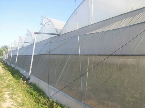 Green House