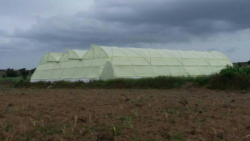 Green House