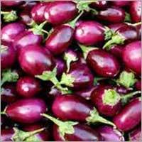 Fresh Brinjals